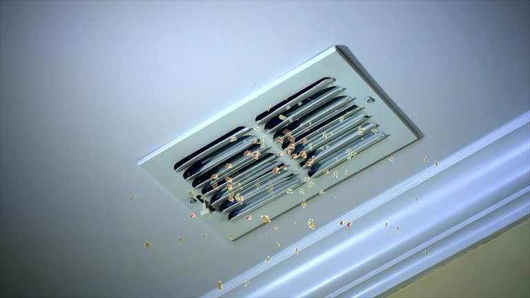 Best Emergency Air Duct Cleaning  in Fanning Springs, FL