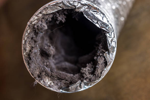 Best Local Air Duct Cleaning Services  in Fanning Springs, FL