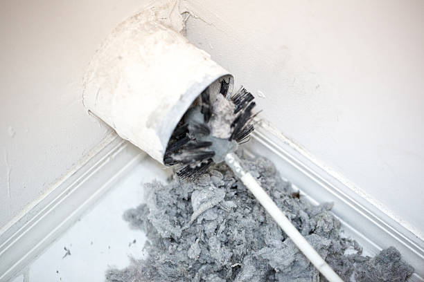 Best Professional Duct Cleaning Services  in Fanning Springs, FL